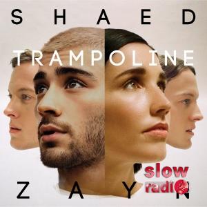 Shaed & Zayn - Trampoline